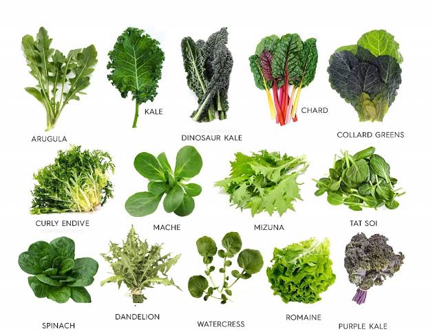 List Of Low Calorie Vegetables To Help You Lose Weight